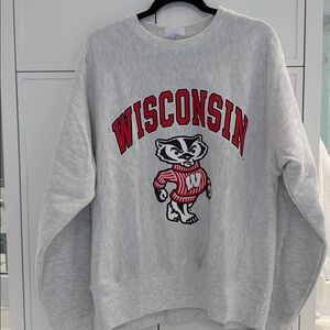 NWT Champion University of Wisconsin - Madison sweatshirt.perfect new condition